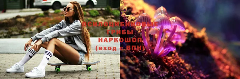 Галлюциногенные грибы MAGIC MUSHROOMS  Ладушкин 